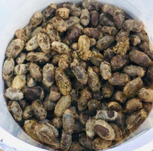 Load image into Gallery viewer, Mason Bee cocoons