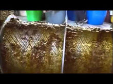 Load and play video in Gallery viewer, Wax Press - 110lb/hr or 50kg/hr Wax/Honey Separator - MV-CS-50
