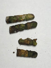 Load image into Gallery viewer, Leafcutting Bee Cocoons
