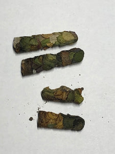 Leafcutting Bee Cocoons