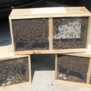 Package Bees - RESERVATION
